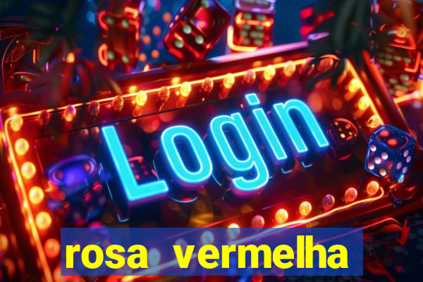 rosa vermelha (letra e cifra)